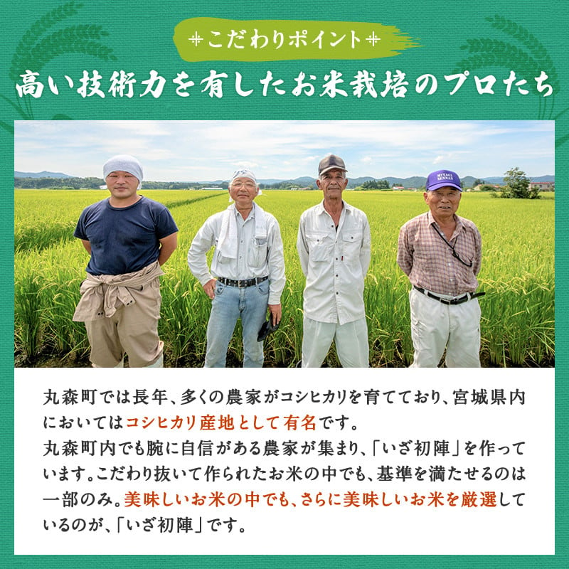 【定期便】令和6年産 新米 精米 ブランド米「いざ初陣」15kg（1kg×15個を3カ月）食味値85以上 整粒歩合80%以上