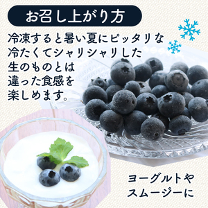 【全2回定期便】完熟生ブルーベリー （サザンハイブッシュ系）各600g（100ｇ×6パック） | フルーツ 果物 ベリー
