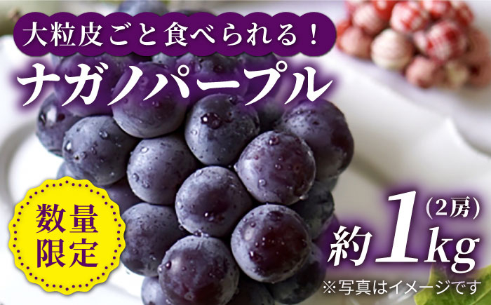 
            ぶどう 【数量限定】【種なし皮ごと！】ナガノパープル 約1kg（2房）＜山田果樹園＞ [CCX003] ぶどう ブドウ 巨峰 西海市産 フルーツ 果物 ぶどう
          
