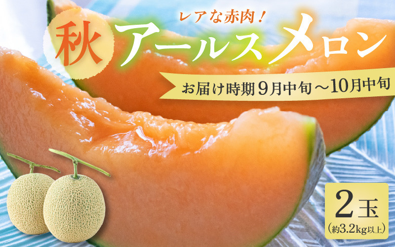 
            【先行予約】【赤肉】秋 アールスメロン 2玉（計約3.2kg以上）赤肉品種 高級メロン！ ／ マスクメロン 大玉 果物 フルーツ 夏 ギフト 農家直送  ※2025年9月中旬以降発送 [aw065-a011]
          