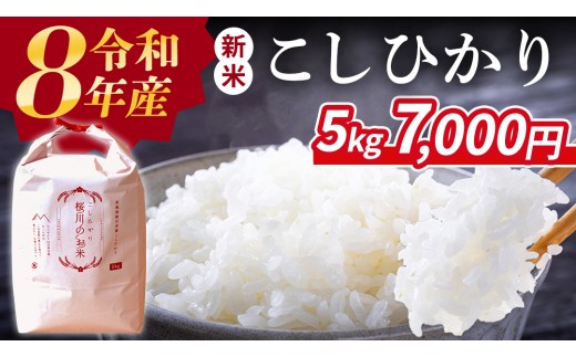 
                  《 令和8年産 》 桜川市産 こしひかり 5kg 新米 先行予約 茨城県 桜川市 米 お米 白米 コメ ごはん 精米 コシヒカリ 国産 限定 銘柄米 [SC051sa]
                
