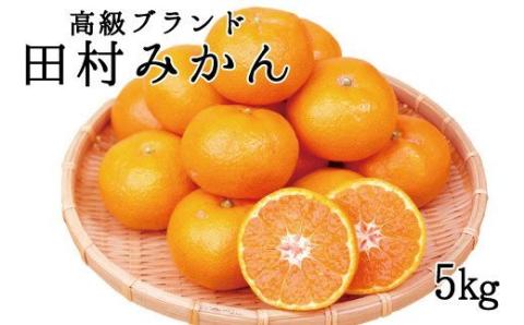 高級ブランド田村みかん　5kg【先行予約】※2024年11月下旬頃～2025年1月下旬頃に順次発送予定(お届け日指定不可) みかん 柑橘類【uot504】