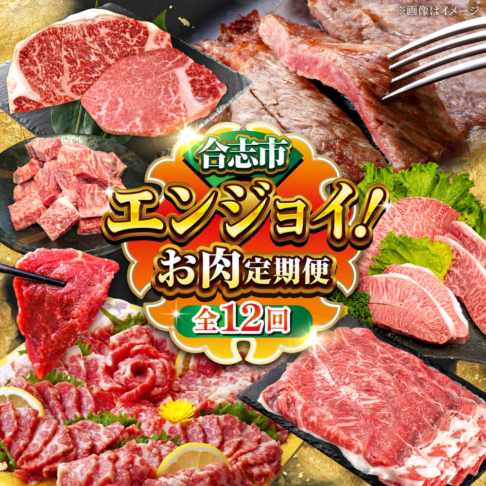 【ふるさと納税】【全12回定期便】合志市お肉エンジョイ定期便[AYZZ013] 牛肉 馬刺し 黒毛和牛 和王 あか牛 ヒレ サーロイン ステーキ 霜降り ユッケ 合志 熊本 九州 国産 冷凍
