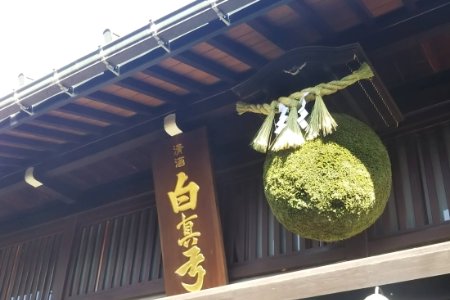 日本酒ライフに彩りを！杉玉直径30cm。自宅やお店のインテリアに。【67-1】