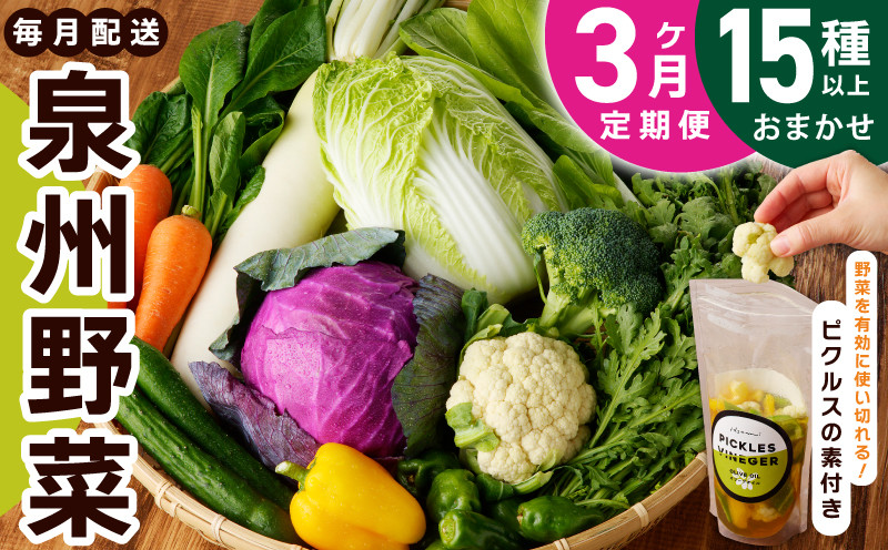 
                  旬の新鮮 野菜セット（15種以上）定期便 全3回 おまかせ ピクルスの素 ファミリー向け いずみピクルス NSW【毎月配送コース】
                