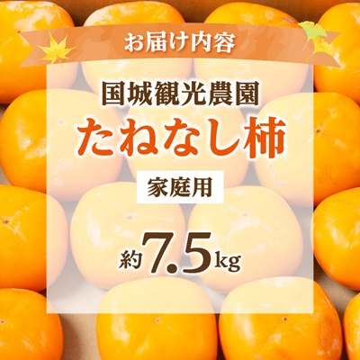 国城観光農園のたねなし柿(家庭用・訳あり)約7.5kg