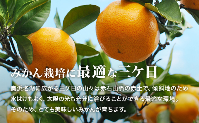 三ヶ日みかんジュース「浜名湖まるごと純粋搾り」720ml 6本【静岡 三ヶ日 みかん ジュース】