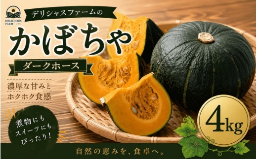 かぼちゃ 【デリシャスファームのかぼちゃ】ダークホース 4キロ  ※6月頃より順次発送予定  / 産地直送 カボチャ 南瓜 【delf035】