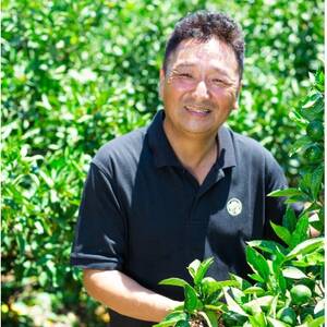 【愛媛名産】玉宝清見タンゴール　2kg【A64-81】【1623964】