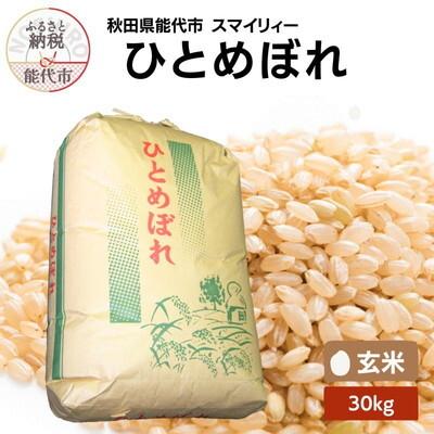 ふるさと納税 能代市 【先行受付】令和7年産 ひとめぼれ 玄米30kg[No.5335-1196]