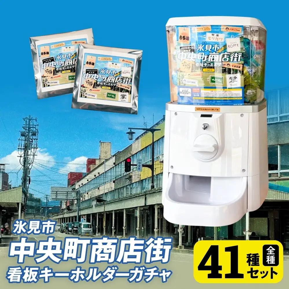 氷見市中央町商店街看板キーホルダーガチャ ［ 全41種コンプリートセット ］ キーホルダー ストラップ ガチャガチャ トレーディング 看板 富山県 氷見市 レトロ