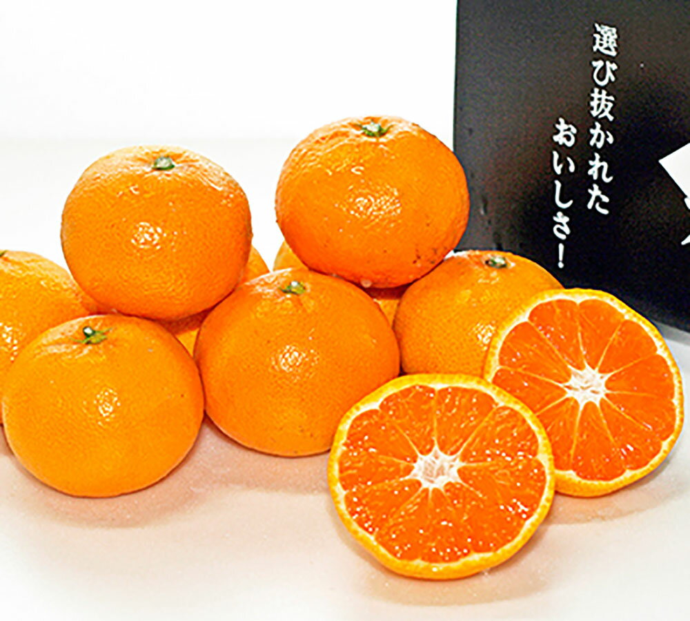 【ふるさと納税】旬の品種をお届け 厳選 むなかたの柑橘ブランド 姫の神 シリーズ 約3kg みかん ミカン 蜜柑 姫の神 果物 くだもの フルーツ はれひめ れいこう はるみ 国産 送料無料【2026年1月～3月出荷】[G2007]