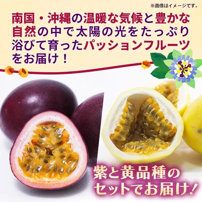 【贈答用】【先行受付・2027年発送】黄金ファーム南星 黄金丸パッションフルーツ ギフトセット 約1kg (10～11玉) - 贈答品 プレゼント 贈り物 ギフト 先行予約 南国フルーツ 国産 おすす