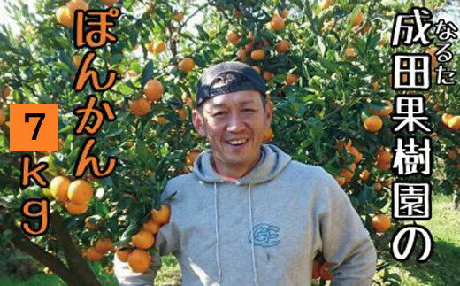 【ふるさと納税】 成田果樹園 ぽんかん 7kg 家庭用 柑橘 みかん フルーツ 果物 甘い ジューシー ビタミンC 贈り物 ギフト 産地直送 冬 旬 季節 特産品 国産 和歌山 愛媛 熊本 高知県 柚子 文旦 小夏 新鮮 果汁 皮むき簡単 宿毛市 高知市