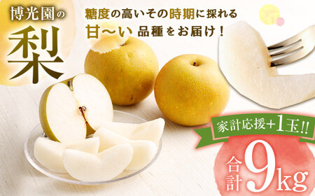 【10月発送分】【家計応援】【数量限定】梨 9.0kg+1玉  豊水 20世紀 新高 新興 果物 フルーツ