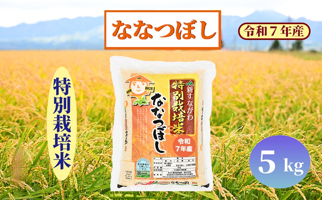 
                  北海道奈井江町　特別栽培米　ななつぼし　5kg
                