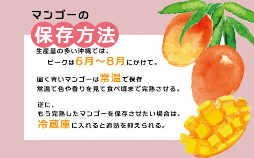 【先行受付】【2026年発送】渡口ファームの家庭用マンゴー約4kg - 先行予約 沖縄 産地直送 南国フルーツ 旬の味覚 家庭用 ご自宅用 大容量 4キロ オススメ 沖縄県 八重瀬町