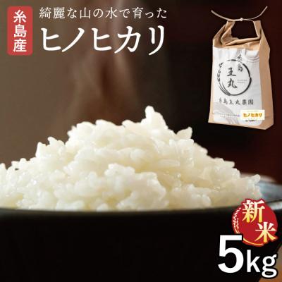 ふるさと納税 糸島市 【令和7年産新米】 ヒノヒカリ 5kg 糸島王丸農園(谷口汰一)【いとしまごころ】[AAZ010]