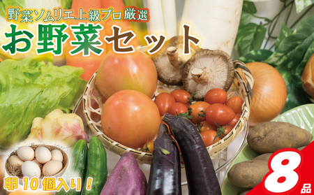 【野菜】 野菜セット 8品 ( みかんたまご 10個入り ) |  愛媛県 松山市【VEG037】