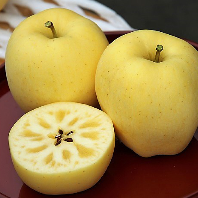 りんご はるか 「プレミアム 冬恋はるか」 約2.5kg 糖度16度以上【先行予約 12月発送予定】 数量限定 岩手県産 高級 りんご リンゴ 林檎 冬恋 はるか フルーツ くだもの 果物 【冬恋研究