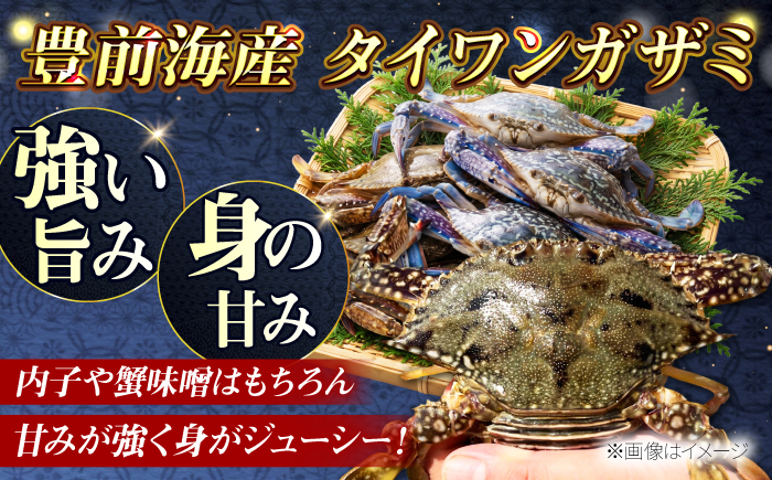 【先行予約】【2026年8月以降順次発送】豊前海産 タイワンガザミ 1kg (4〜7杯前後) オス メス セット 《築上町》【明青丸】 ワタリガニ 渡り蟹 蟹 カニ [ABCB002]