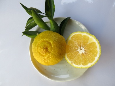 先行予約【訳あり 無農薬】みかん３種（計３kg）おまかせ食べ比べセット　お楽しみ 柑橘 フルーツ【R00241】