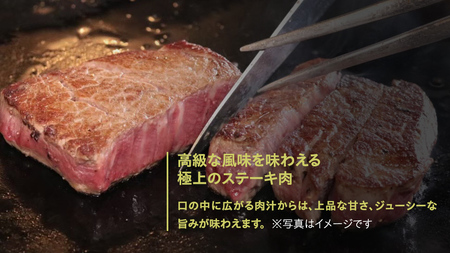 【常陸牛特選A5】シャトーブリアン200g×5枚  (1kg) ( 茨城県共通返礼品 ) A5ランク ひたちぎゅう 牛肉 ブランド牛 高級 和牛 国産 ヒレステーキ ステーキ 希少部位 冷凍 [CD0