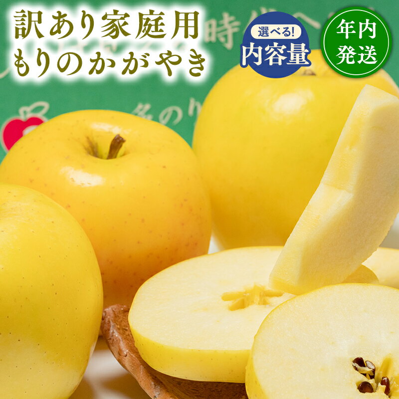 【ふるさと納税】≪内容量が選べる≫年内発送! 青森県産 訳あり もりのかがやき 約3kg 約5kg【青森県 平川市 那由多のりんご園】希少品種 家庭用 青森 青森県産 平川 りんご リンゴ 林檎 くだもの 果物 フルーツ レビューキャンペーン