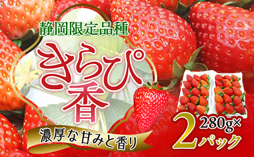 先行受付/2025年12月上旬発送開始!抜群の美味しさ!静岡限定:きらぴ香いちご 280g×2パック【配送不可地域：離島・北海道・沖縄県・東北・中国・四国・九州】