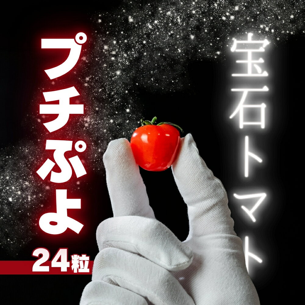 【ふるさと納税】＼メディアで話題／ 希少品種 プチぷよ 24粒 ミニトマト 高糖度 こだわり トマト とまと tomato 道の駅とよはし 先行予約 愛知県 豊橋市 10000円