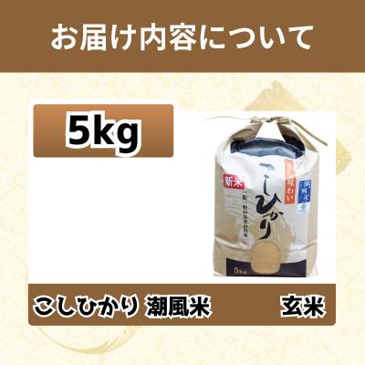 ふるさと納税 小松島市 玄米 こしひかり 5kg 令和7年産  潮風米 |  | 03