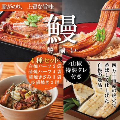 ふるさと納税 四万十市 &lt;四万十食品&gt;うなぎ三昧　長尾2尾+ハーフ4袋+きざみ3袋+白焼ハーフ2袋/E