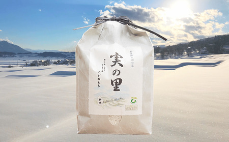 【先行予約】[令和７年産新米] 長野県産 もち米 こがねもち『奥信濃の棚田米 実の里 5kg』 (7-24A) 