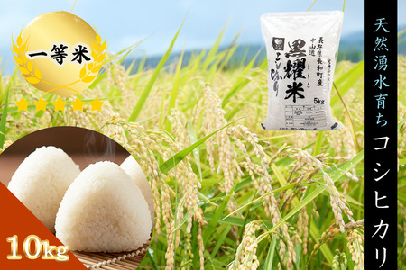 令和7年産 コシヒカリ10キロ(5kg×2袋)　天然の軟水「黒耀水」育ちのお米 長野県長和町産 農家直送 一等米精白米