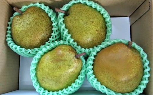 西洋梨（ラ・フランス）２ｋｇ　４玉　ご家庭用　0042-2511