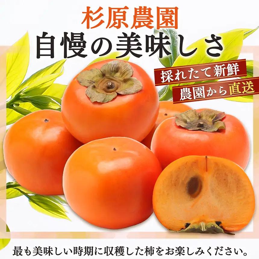 真空パックで 新鮮 ！ 貯蔵 富有柿 24 個～28 個 L ～ 2L サイズ |お年賀 フルーツ くだもの 果物 柿 かき カキ 富有柿 奈良県 五條市 デザート 人気 国産 産地直送 果実 12月