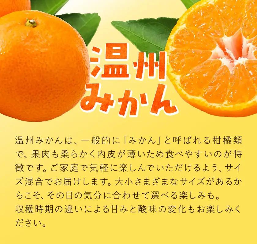 みかん 温州 みかん 約10kg エイワ商店