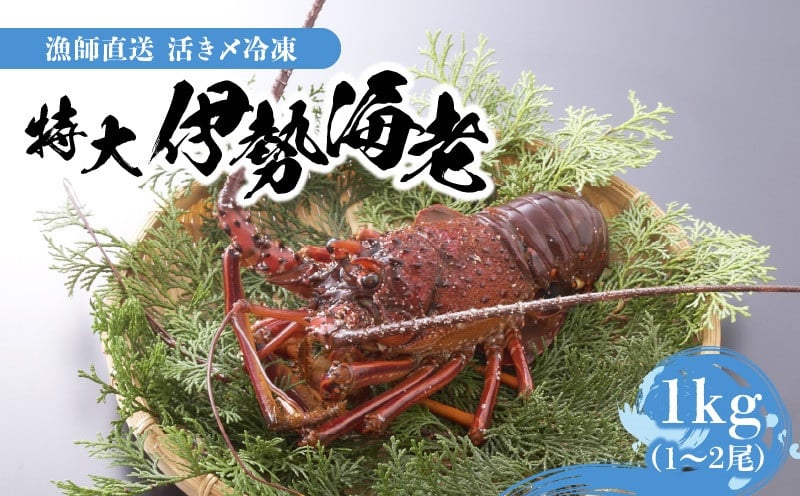 【漁師直送】活き〆冷凍 特大伊勢海老 1kg（1～2尾）　W005-003