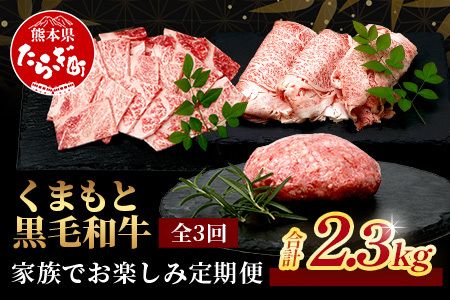 【定期便3回】くまもと黒毛和牛 家族でお楽しみ定期便 《 ロース すき焼き 焼肉 ハンバーグ10個 》【合計2.3kg】黒毛 和牛 焼き肉 すスキヤキ 焼き肉 上質 ブランド牛 国産 牛肉 冷凍 熊本県 113-0522
