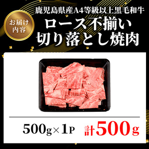 鹿児島県産A4等級以上黒毛和牛・ロース不揃い切り落とし焼肉 計500g(500g×1パック) 黒毛和牛 牛肉 切り落とし【ビーフ倉薗】A521