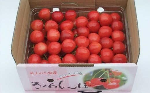 さくらんぼ（佐藤錦）５００ｇ　手詰め　0112-2610