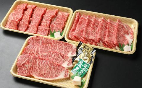 【冷蔵配送】飛騨牛 サーロインステーキ ローススライス 焼肉用ロース 特盛セット