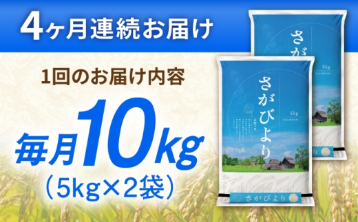 【10kg✕4回定期便】【令和7年産】さがびより 計40kg（5kg✕2袋） 吉野ヶ里町/増田米穀 [FBM050]
