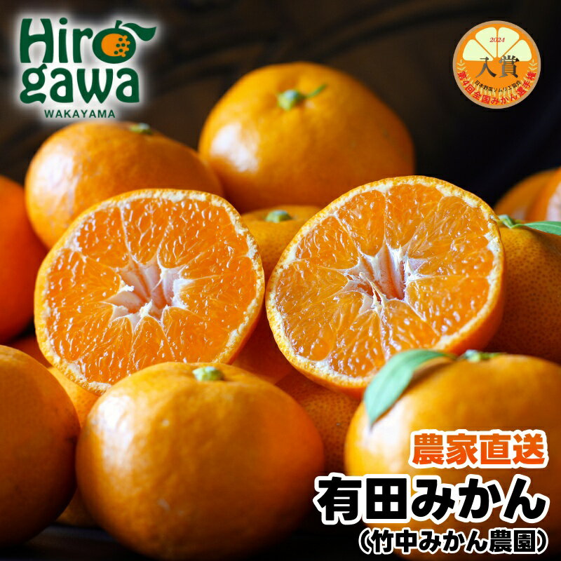 【ふるさと納税】 有田みかん 3kg 5kg サイズ混合 10000円 ※11月～12月下旬に順次発送 / みかん 早生 柑橘 果物 フルーツ くだもの 果実 //mandarin