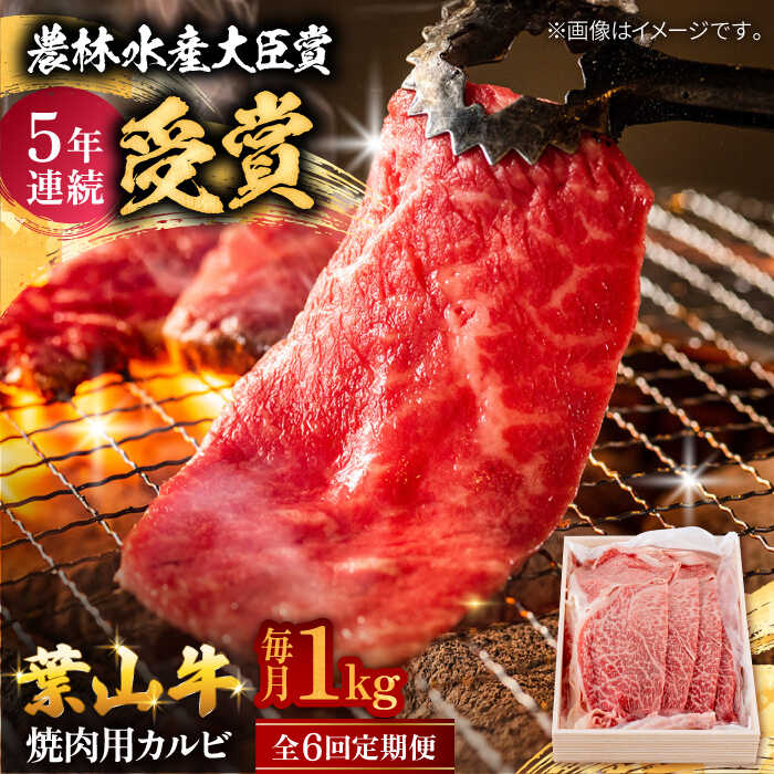 【ふるさと納税】【全6回定期便】 葉山牛 焼肉用カルビ1Kg / 牛肉 牛 肉 お肉 国産 やきにく 焼き肉 カルビ かるび BBQ ブランド牛 和牛 黒毛和牛 国産牛 贈答 ギフト 冷凍 葉山 定期 定期便 【有限会社葉山旭屋牛肉店】[ASAP042]