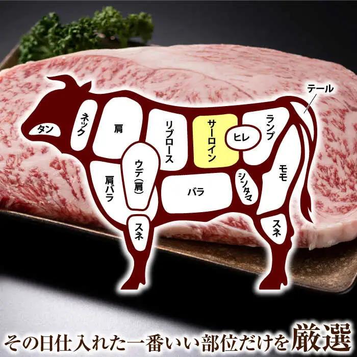 【全6回定期便】【A4~A5】長崎和牛サーロインステーキセット　500g（250g×2枚）【株式会社 MEAT PLUS】[QBS073]