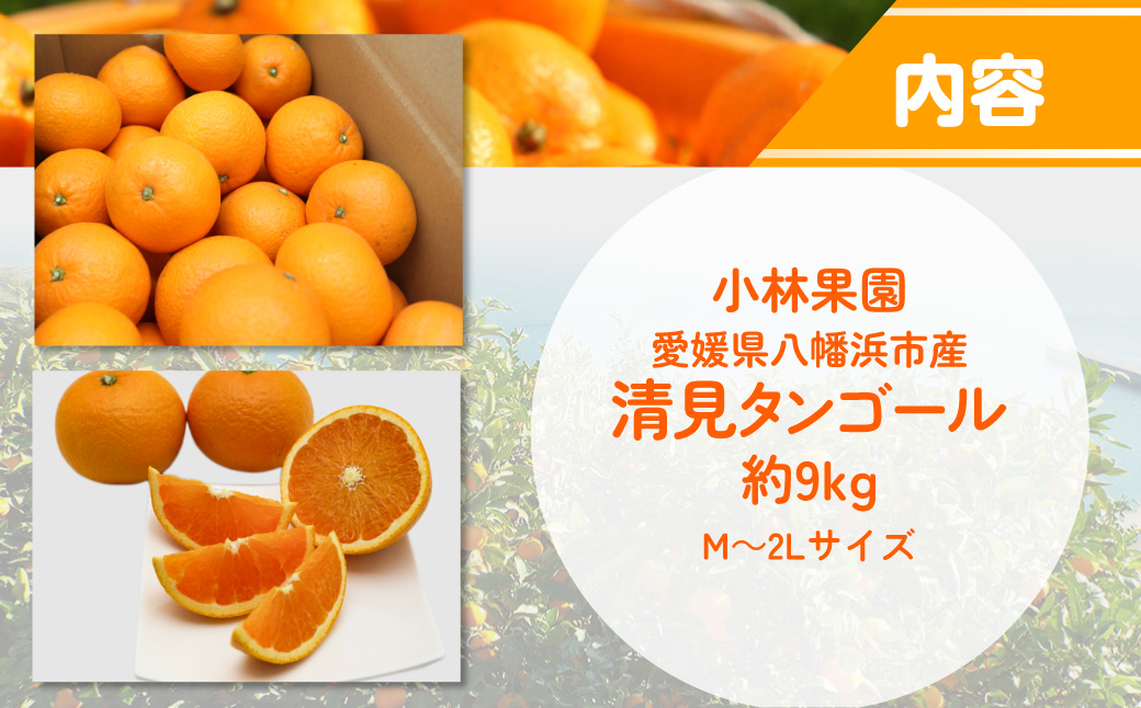 【先行受付】小林果園の清見(約9kg) YWTAD038