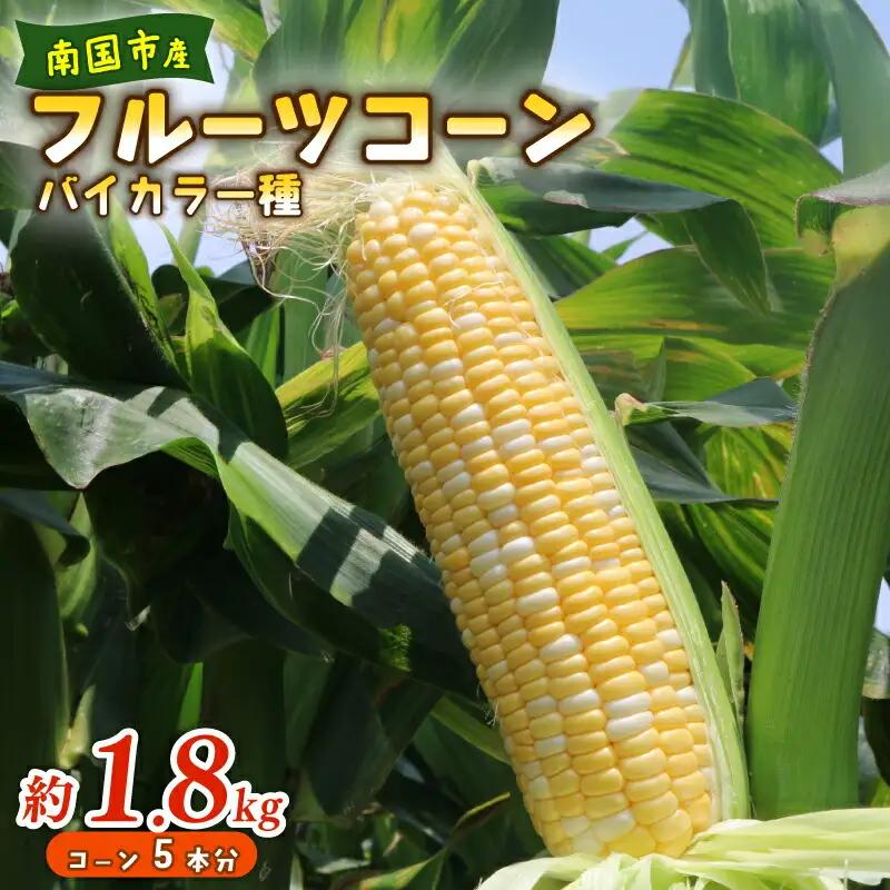 【2026年先行予約 / 数量限定 とうもろこし】フルーツコーン バイカラー種 5本 とうもろこし