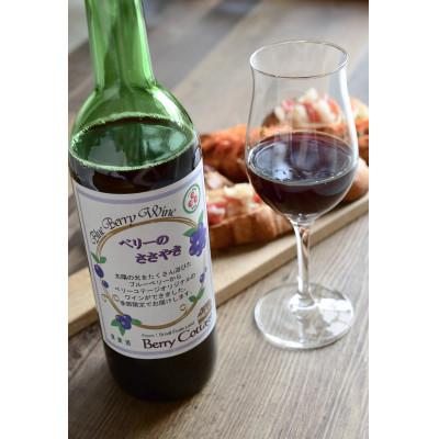 ふるさと納税 青梅市 ブルーベリーワイン「ベリーのささやき」720ml　2019年産 |  | 03