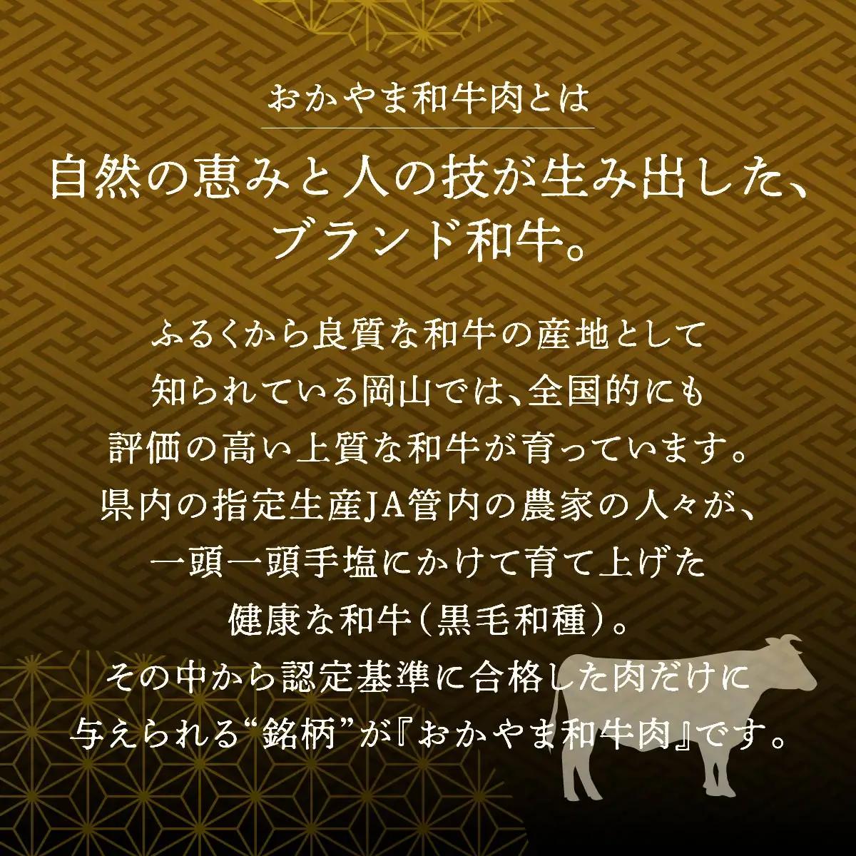 和牛 おかやま 和牛肉 ステーキ セット 合計約600g（サーロイン 約300g＆リブロース 約300g）